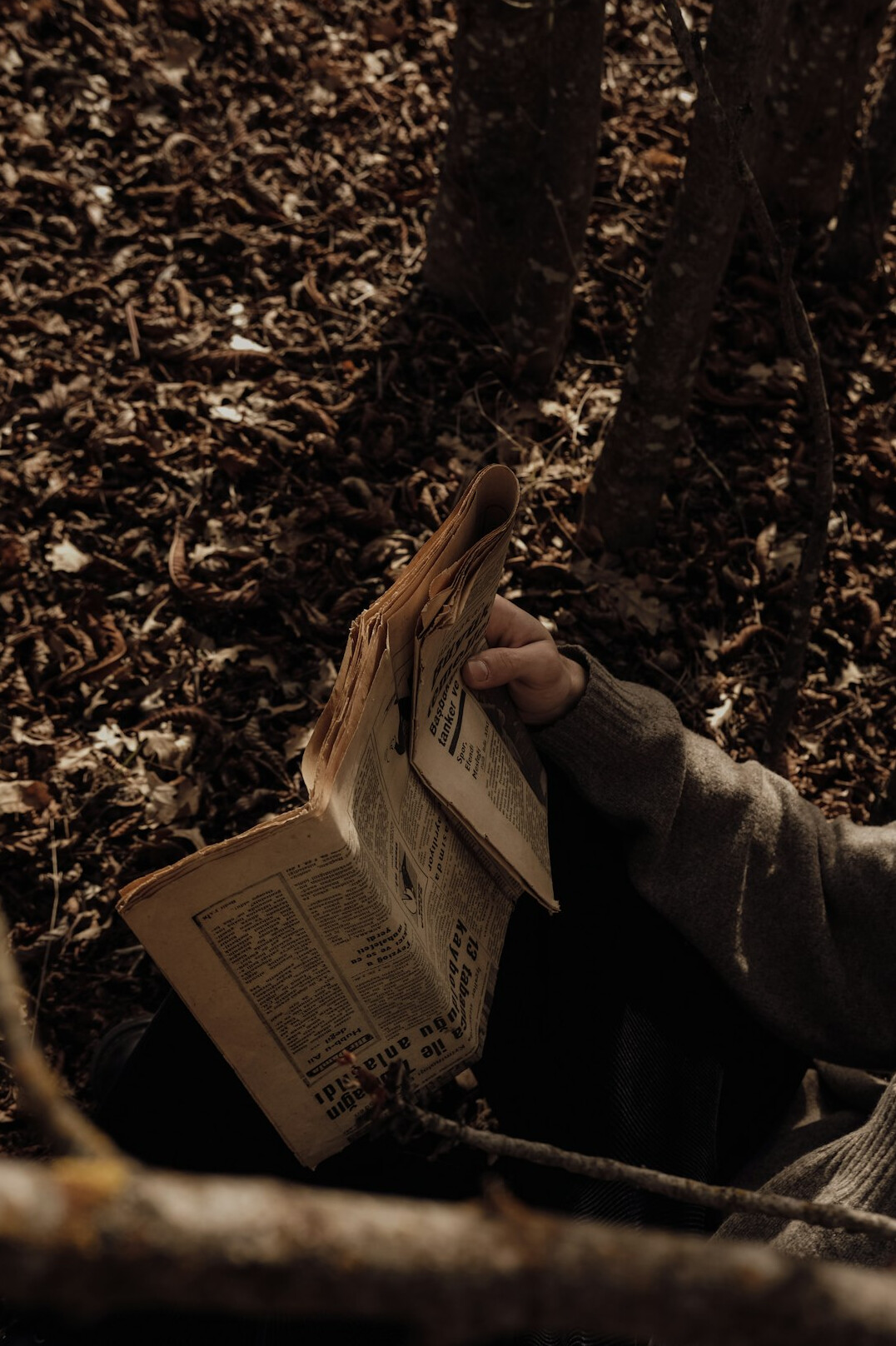person reading old documents